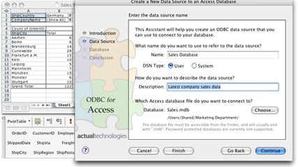 Actual ODBC Driver for Access screenshot 1