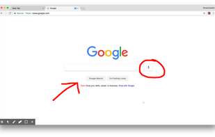 Screencastify screenshot 2