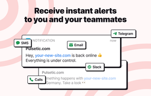 Pulsetic screenshot 2