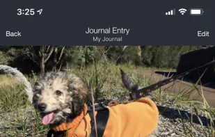 Capture 365 Journal screenshot 3