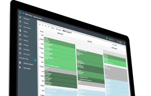 Client Diary screenshot 1