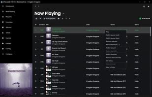 Sonixd screenshot 3