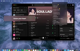 Lyric Fever screenshot 1