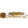 Immortal Cities: Children of the Nile icon