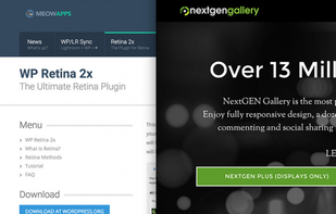 NextGen and WP Retina 2x support