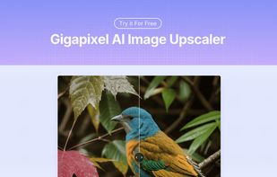 Gigapixel AI Image Upscaler screenshot 1