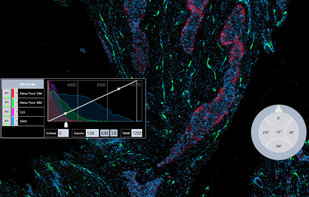 Adjust fluorescence channels separate
