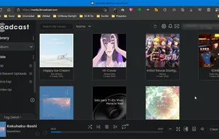 iBroadcast screenshot 1