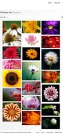 Photohab screenshot 2