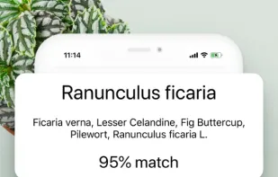 Plant ID Match screenshot 1