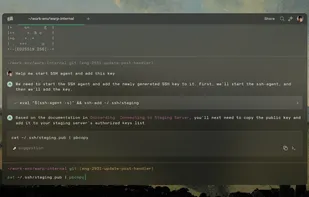 Warp Terminal screenshot 2