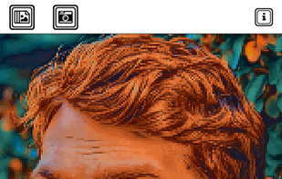 Pixel Art Camera screenshot 2