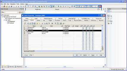 SAP PowerDesigner screenshot 1