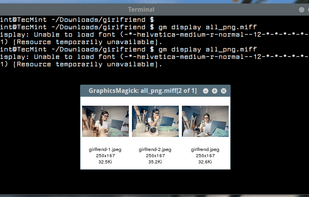 GraphicsMagick screenshot 1