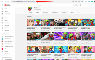 Jihosoft 4K Video Downloader screenshot 1