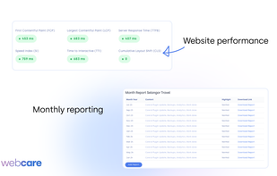 WebCare - WordPress Maintenance screenshot 2