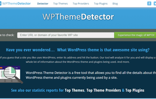 WPThemeDetector screenshot 1