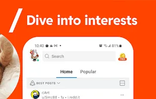 Reddit screenshot 2