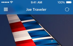 American Airlines screenshot 1