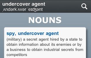 Advanced English Dictionary screenshot 1