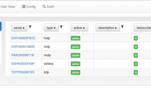 The administrator has a view for all tokens (authentication devices), for all users, for policies and for the audit trail.