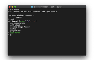 The Fuck screenshot 1