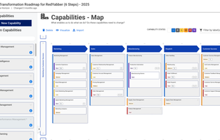 Create your organization's capability and value stream map.