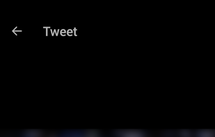 Video GIF Downloader for Twitter screenshot 2