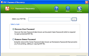 PDF Password Recovery screenshot 1