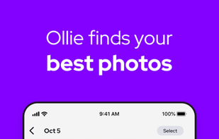 Ollie - AI Photo Organizer screenshot 1