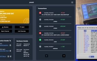 RaspiBlitz screenshot 1