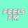FeelsFM icon