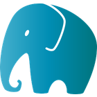 pgDash icon