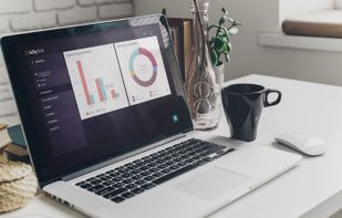 Jellyfish screenshot 1