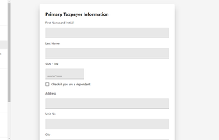 US Taxes screenshot 1