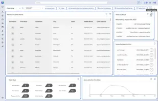 Flexible widget-based layouts