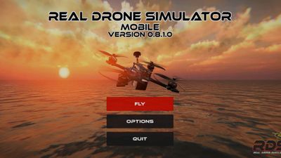 Real Drone Simulator screenshot 1
