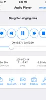Instant Audio Recorder screenshot 2