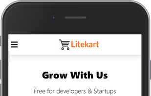 Litekart screenshot 1