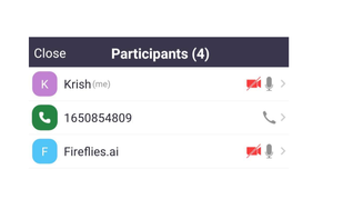 Fireflies.ai screenshot 2