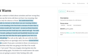 Screenshot of draft that has been workshopped by Penmob editors