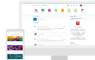 Brightspace LMS screenshot 1