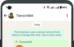 Transcribbit Transcribes the Message