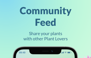 Plantility Plant Identifier screenshot 2