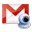 Google Voice and Video Chat icon