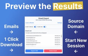 Interface in the browser