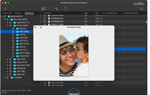 Preview files and select the required ones, then click Recover.