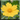 Neat Image icon