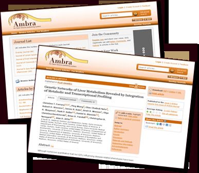 Ambra: Reviews, Features, Pricing & Download