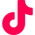 TikTok Save icon